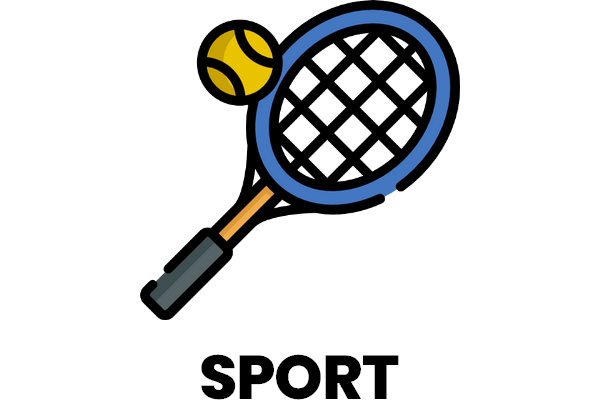 Icone magasins de sport